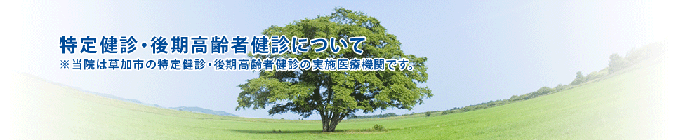 特定健診・後期高齢者健診について